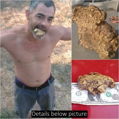 Lucky treasure hunter finds a steak-sized nugget worth $70,000 in a small California town preparing for a gold rush
