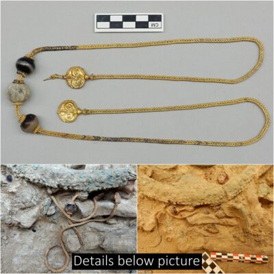More than 2,000 artifacts from the tomb of a 3,500-year-old warrior could give insight into the origins of Greek civilization