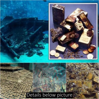 Shipwreck treasure worth £38m discovered in ‘Golden Garden’ on a shipwreck that lay on the ocean floor for 150 years