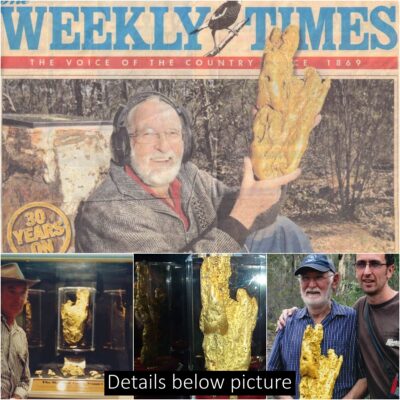 The truly lucky man dug up the world’s largest gold nugget using a metal detector weighing a whopping 875 troy ounces
