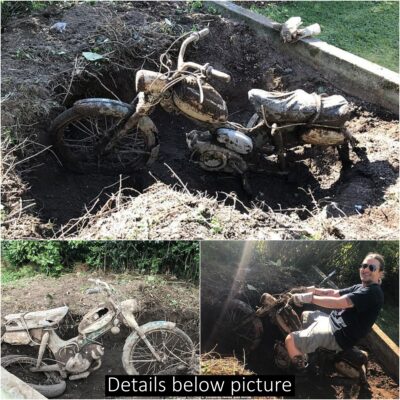 When a father of two found a 1960s Puch motorcycle buried a meter below the surface of a flower bed in his garden more than 60 years ago