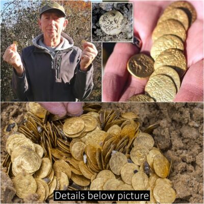 ﻿A Kentucky man finds wealth after unearthing a “crazy” treasure that may have been hidden beneath his cornfield 200 years ago and could be worth millions of dollars #