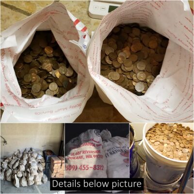 Couple discovered 1 million coins worth tens of thousands of dollars in a compartment in the basement of their late father’s house while cleaning the house