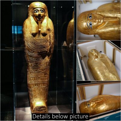 The 2,100-year-old ancient gold coffin from the 1st century BC, valued at 4 million USD, which was stolen by antiquities traffickers, has been returned to Egypt by the US
