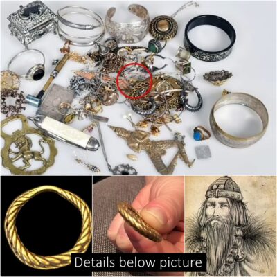Gold ring once worn by a Viking chief more than 1,200 years ago is discovered in a pile of costume jewelry auctioned off online