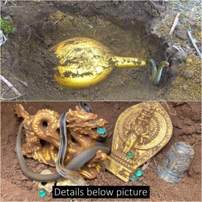 A lucky man found an ancient gold vase buried deep underground dating back 3,500 years with a sacred snake